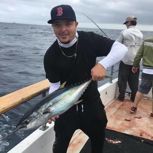 Meet your Posher, Marlene